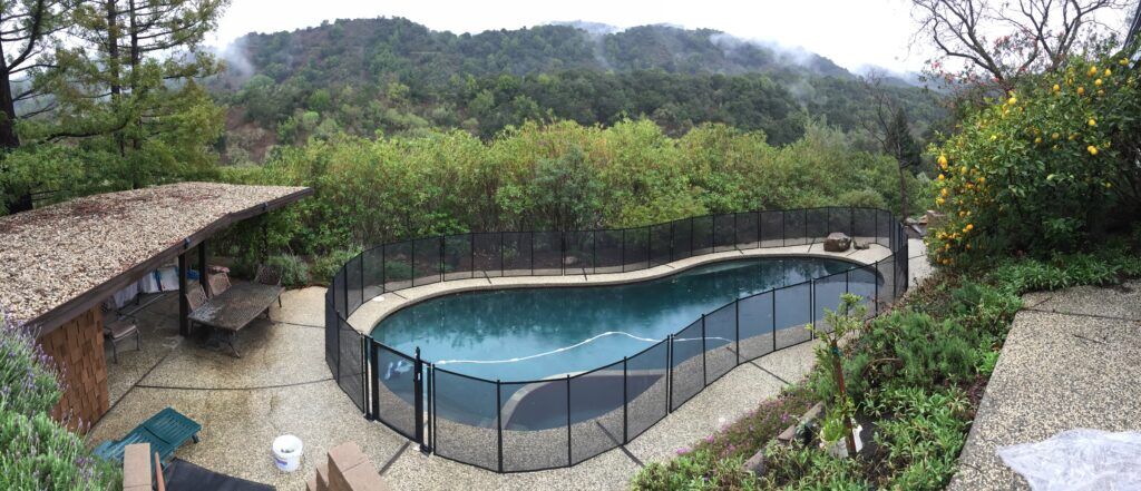 Benjamin Fiscalini 55AF6320 6DB5 4391 B677 1F3FBC736F46